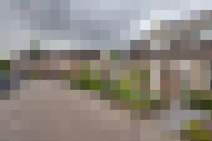 Molenzicht 69 Dirksland thumbnail 7