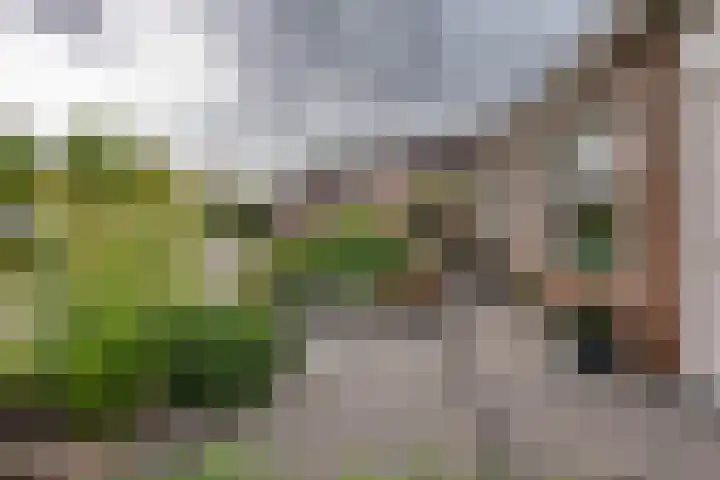Molenzicht 69 Dirksland thumbnail 8