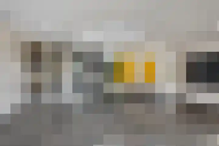 Molenzicht 7 Leiden thumbnail 11