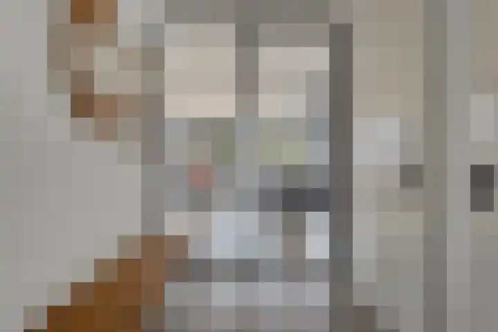 Molenzicht 7 Leiden thumbnail 16