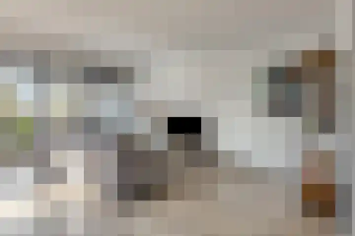 Molenzicht 7 Leiden thumbnail 18