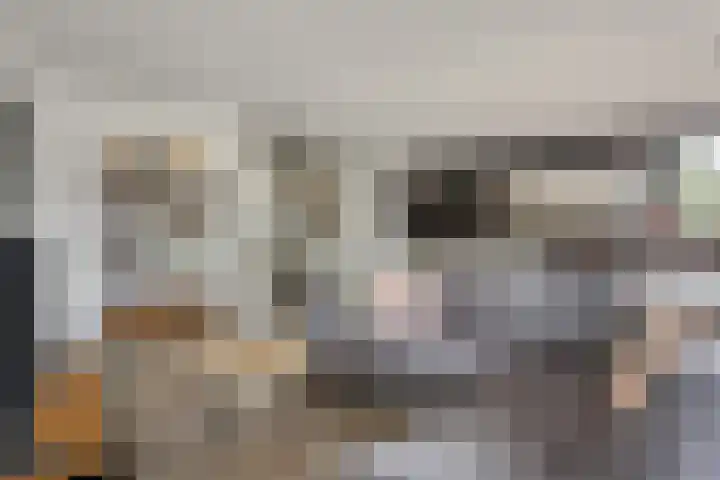 Molenzicht 7 Leiden thumbnail 24