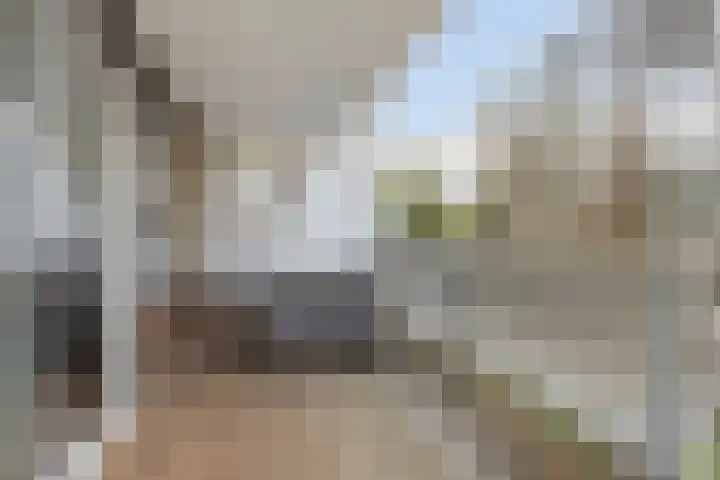 Molenzicht 7 Leiden thumbnail 38