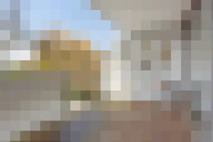 Molenzicht 7 Leiden thumbnail 39
