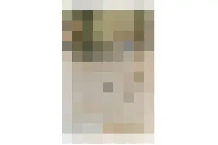 Molenzigt 15 Dordrecht thumbnail 4