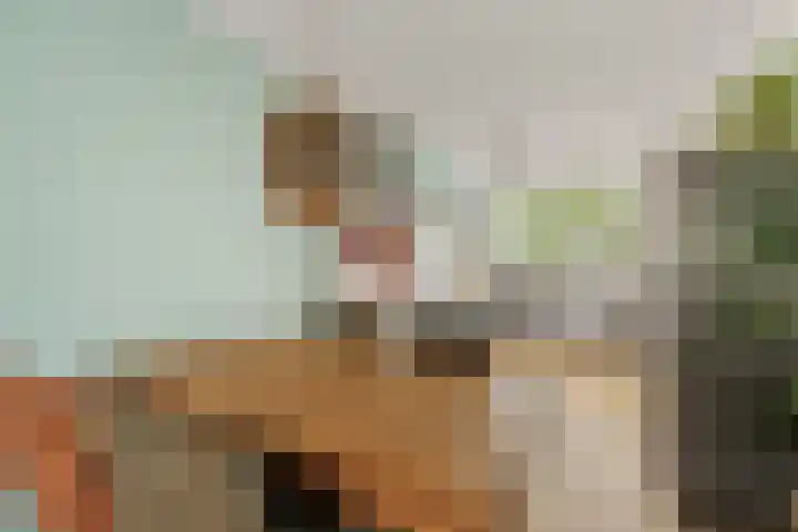 Molenzigt 16 Waddinxveen thumbnail 17