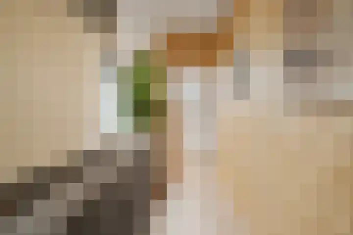 Molenzigt 16 Waddinxveen thumbnail 29