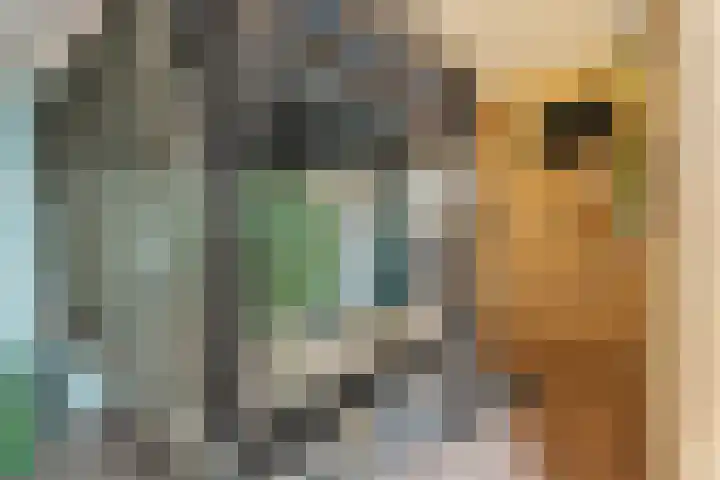 Molenzigt 16 Waddinxveen thumbnail 30