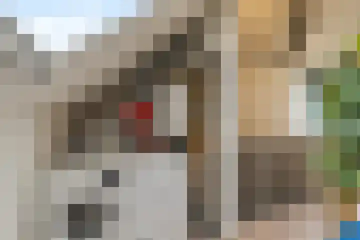 Molenzigt 16 Waddinxveen thumbnail 33