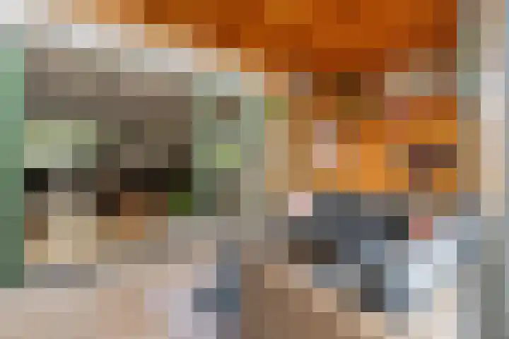 Molenzigt 16 Waddinxveen thumbnail 34