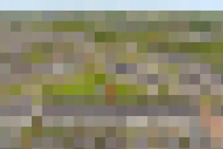 Molenzigt 16 Waddinxveen thumbnail 38