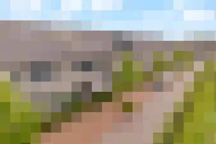 Molenzigt 16 Waddinxveen thumbnail 40
