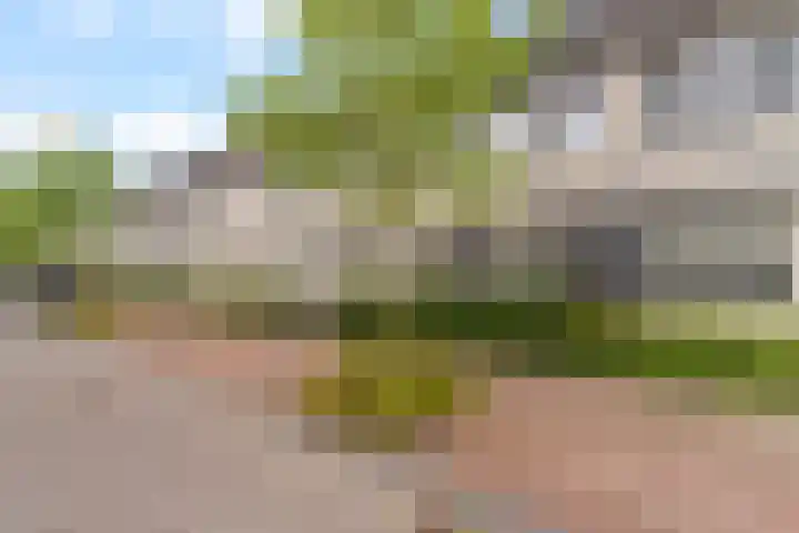 Molenzigt 16 Waddinxveen thumbnail 41