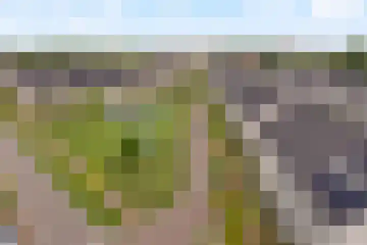 Molenzigt 16 Waddinxveen thumbnail 5