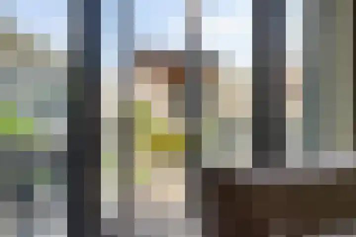 Molenzigt 42 Dordrecht thumbnail 30