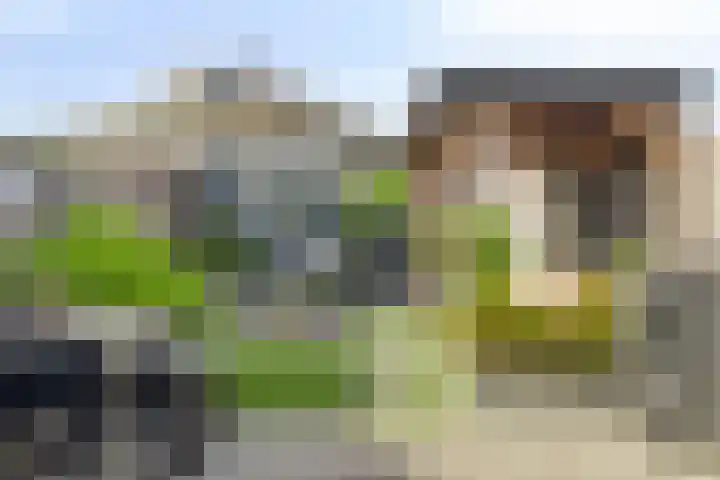 Molenzigt 42 Dordrecht thumbnail 31