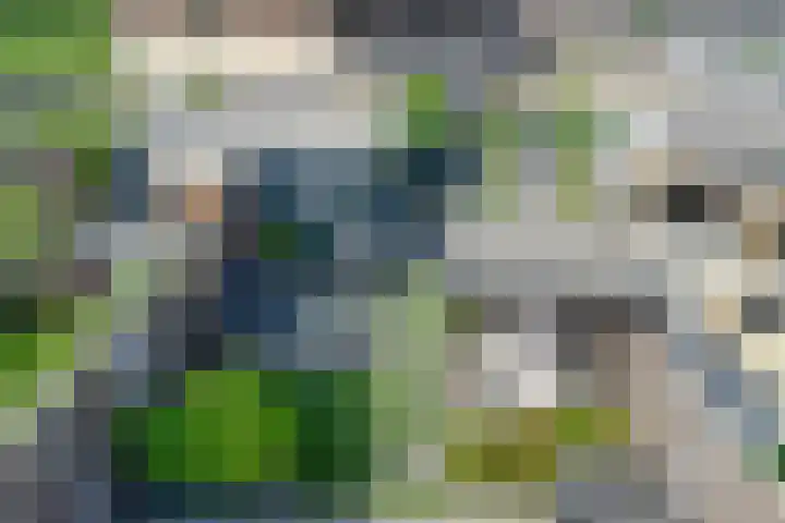 Molenzigt 42 Dordrecht thumbnail 37
