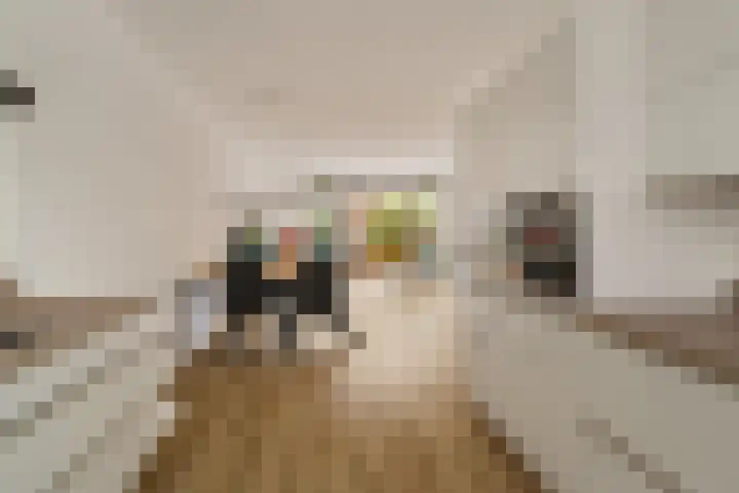 Molenzigt 6 Waddinxveen thumbnail 17
