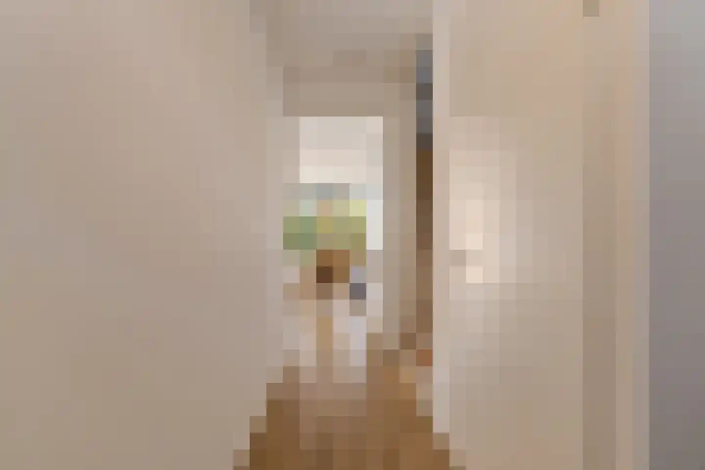 Molenzigt 6 Waddinxveen thumbnail 19