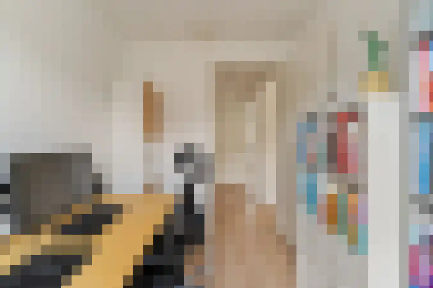 Molenzigt 6 Waddinxveen thumbnail 23