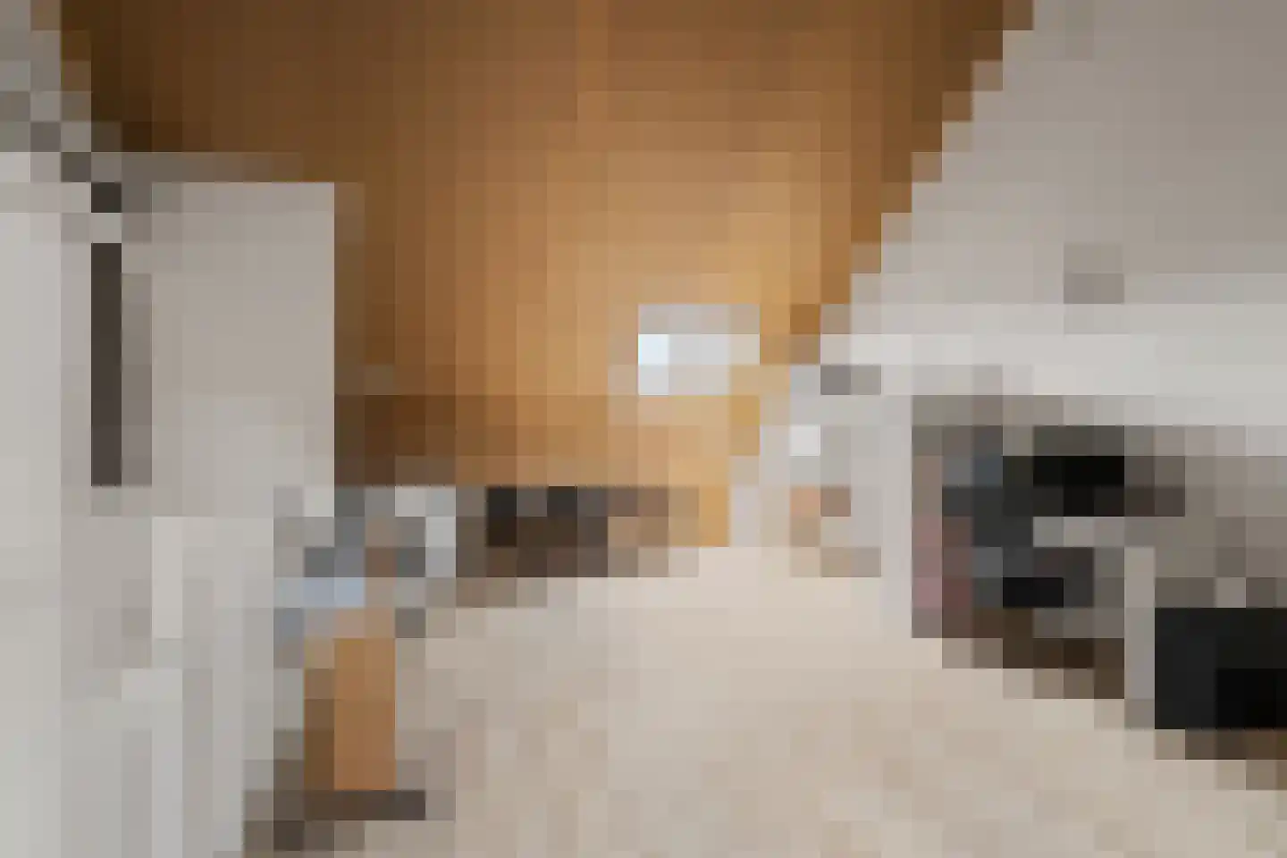 Molenzigt 6 Waddinxveen thumbnail 29