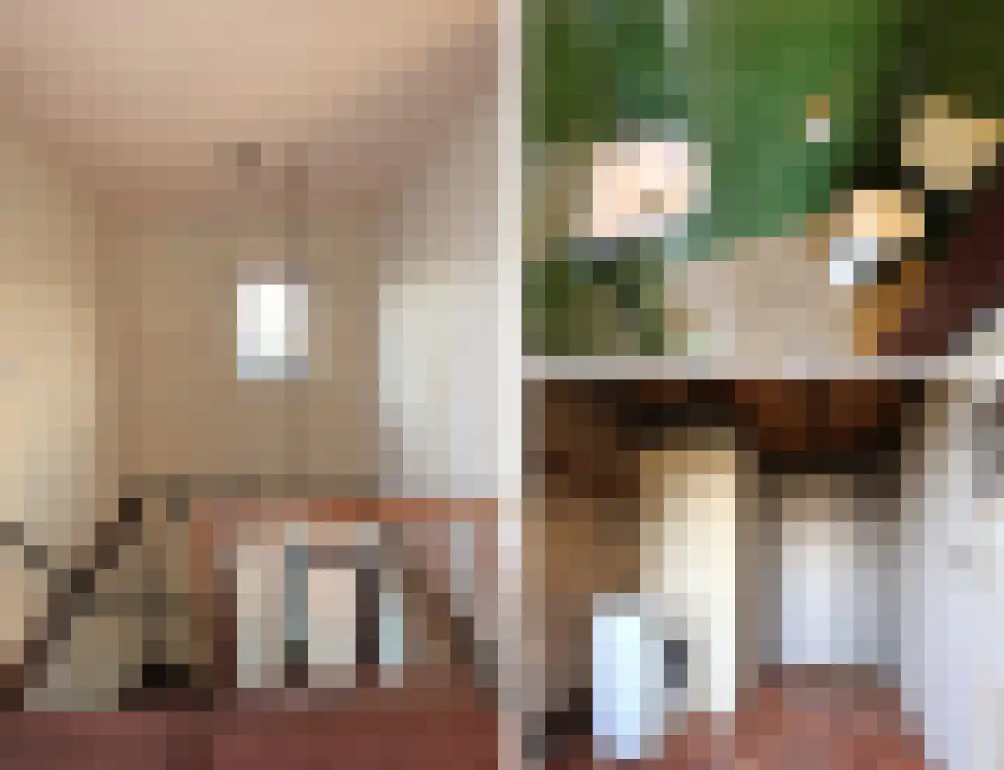 Molepaed 32 Scharnegoutum thumbnail 16