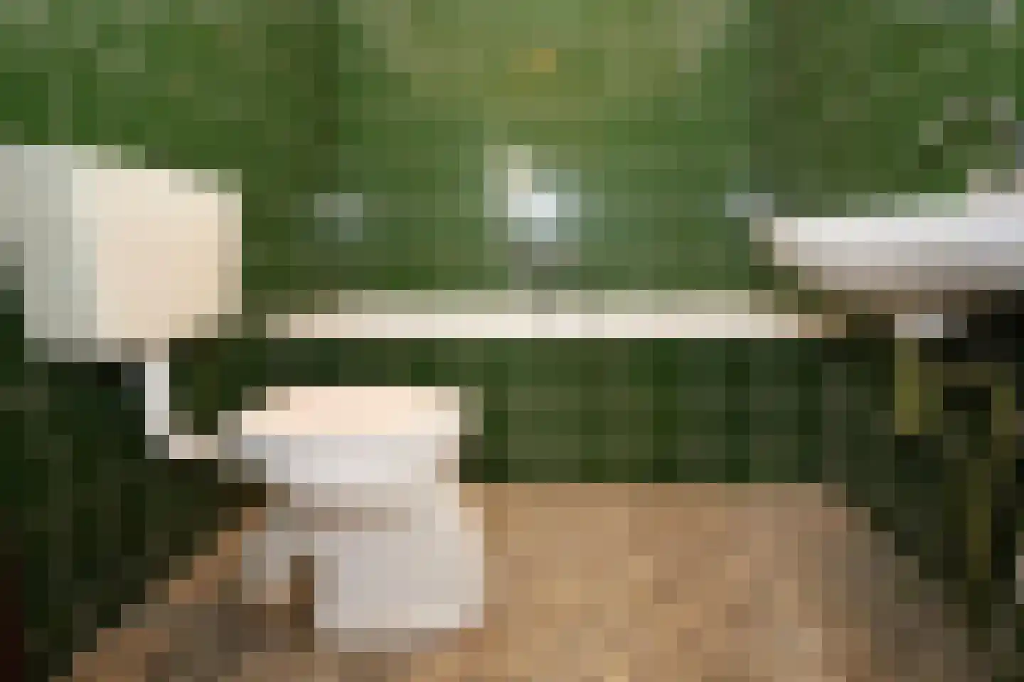 Molepaed 32 Scharnegoutum thumbnail 23