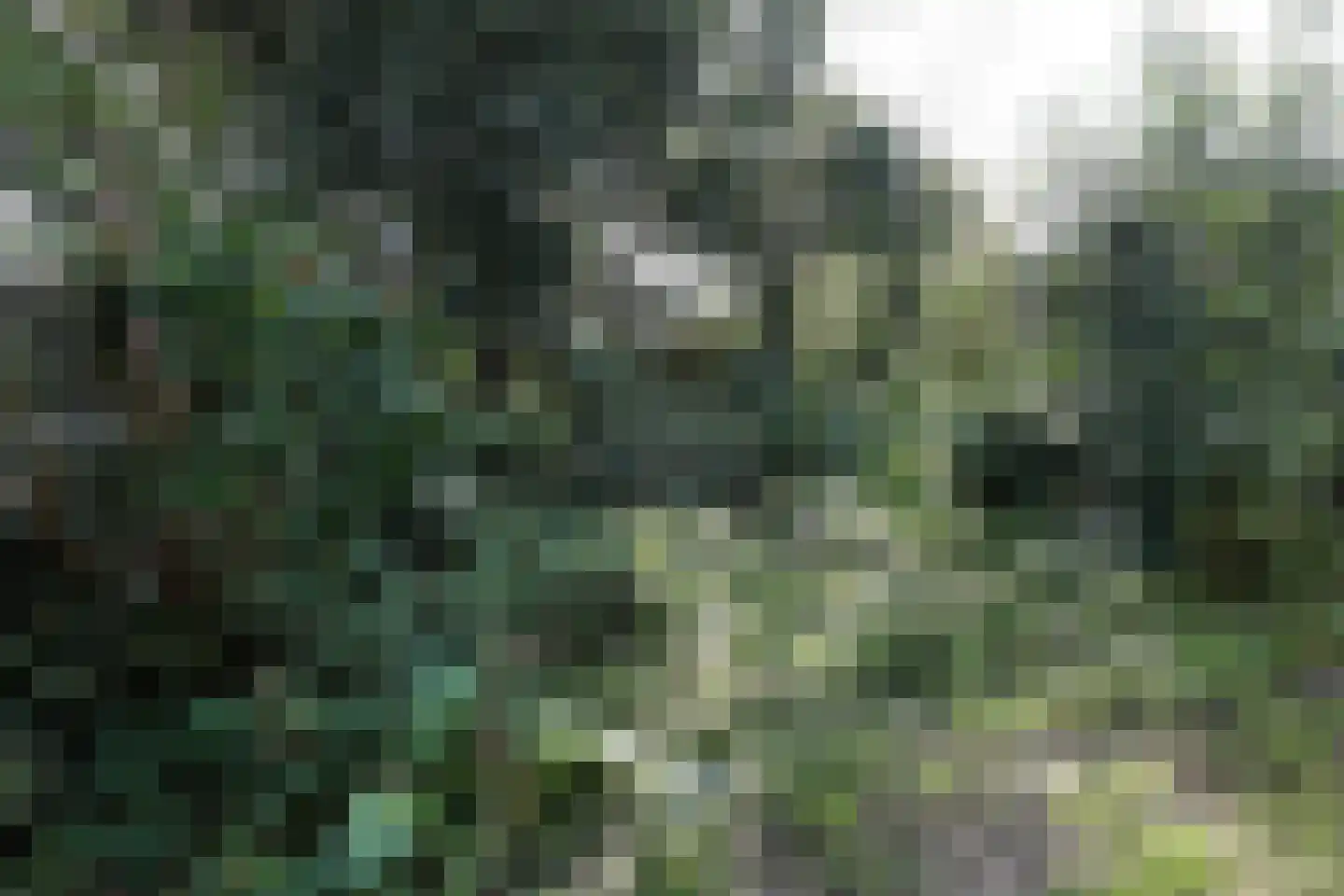 Molepaed 32 Scharnegoutum thumbnail 26
