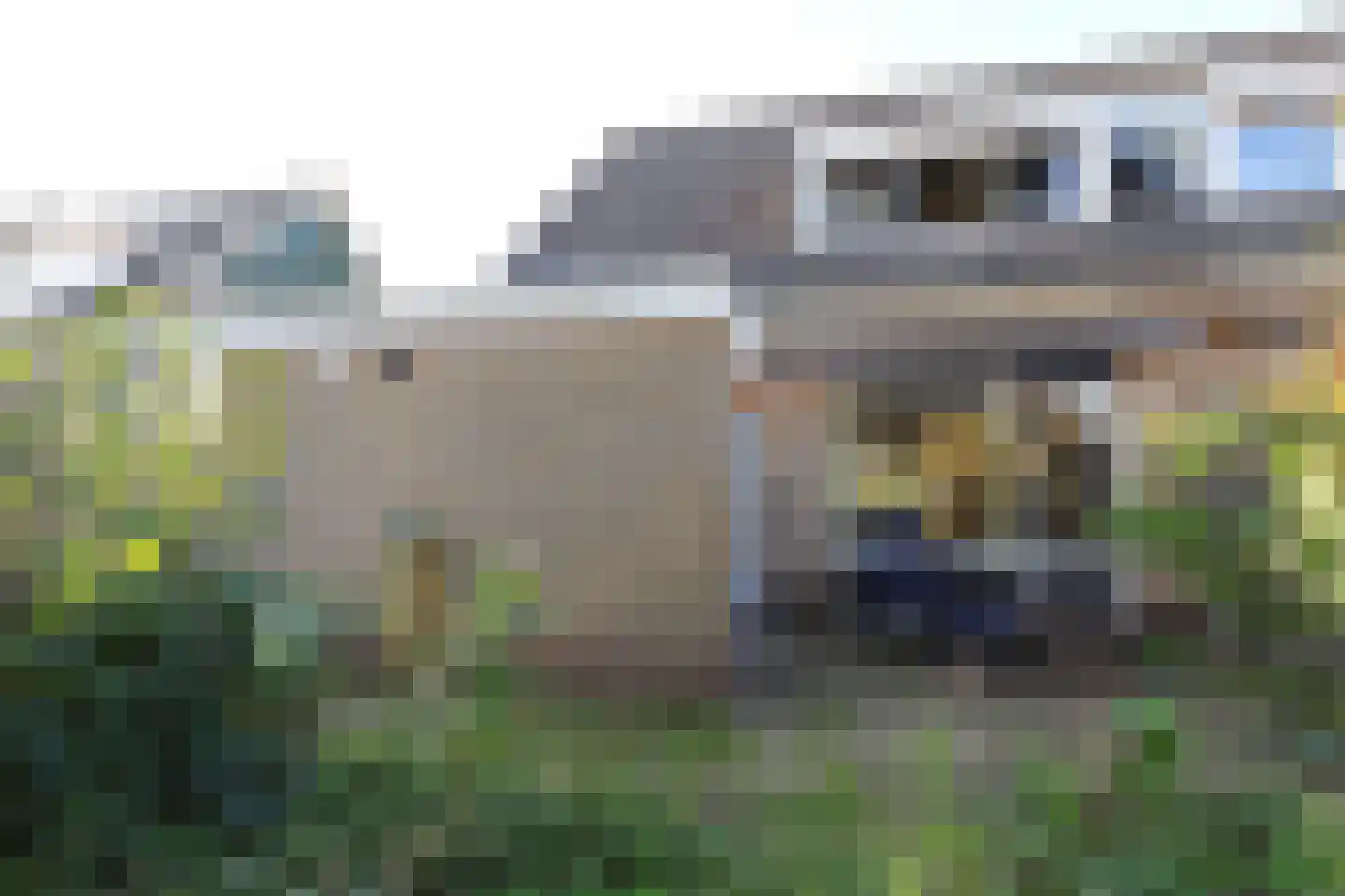 Molepaed 32 Scharnegoutum thumbnail 5