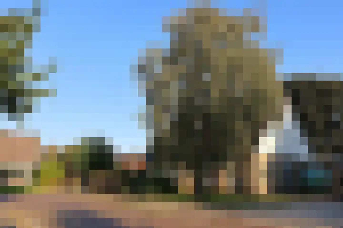 Molepaed 32 Scharnegoutum thumbnail 6