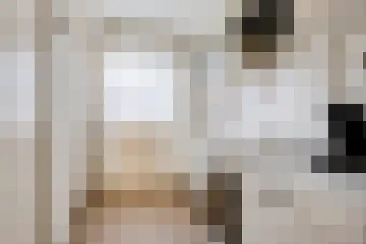 Molepaed 35 Sexbierum thumbnail 12