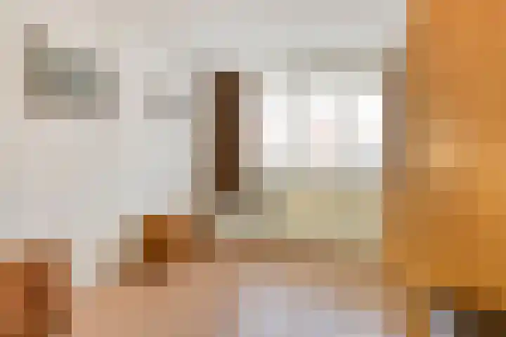 Molepaed 35 Sexbierum thumbnail 17