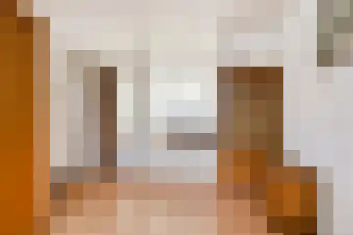 Molepaed 35 Sexbierum thumbnail 18