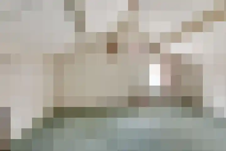 Molepaed 35 Sexbierum thumbnail 22