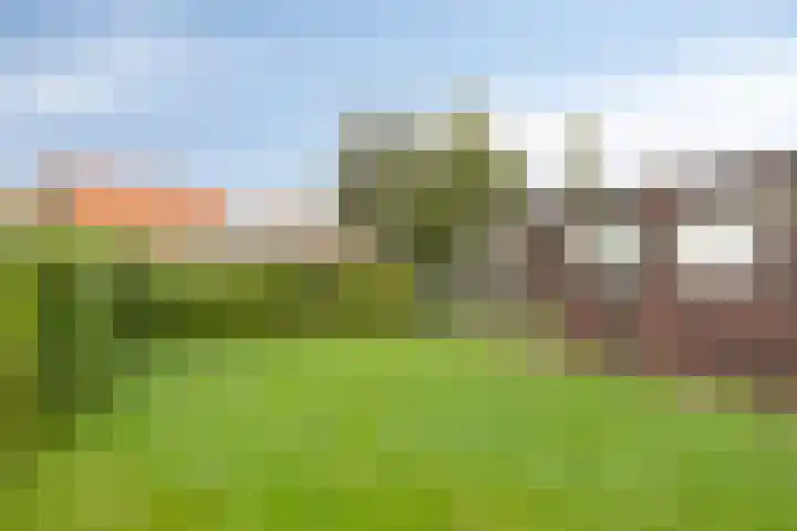 Molepaed 35 Sexbierum thumbnail 24