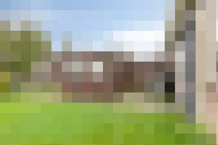 Molepaed 35 Sexbierum thumbnail 25