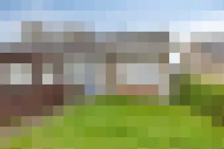 Molepaed 35 Sexbierum thumbnail 26