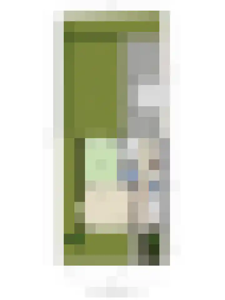 Molepaed 35 Sexbierum thumbnail 27