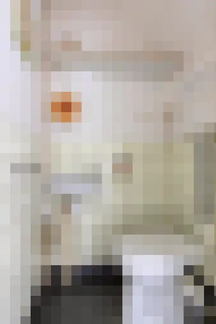 Molepaed 35 Sexbierum thumbnail 5