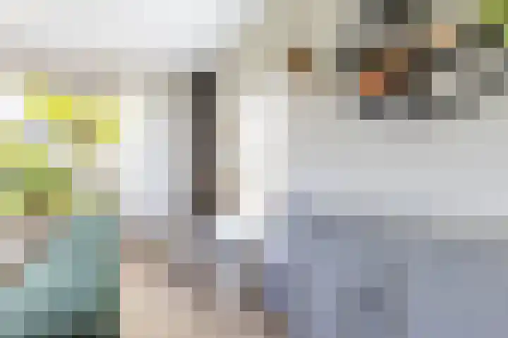 Molepaed 4 Scharnegoutum thumbnail 10