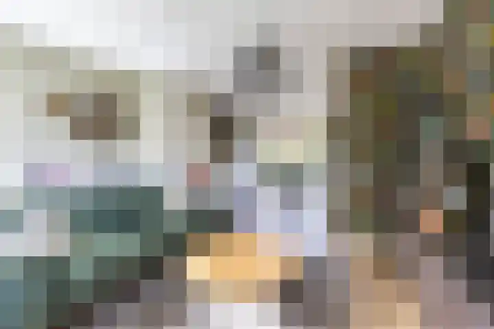 Molepaed 4 Scharnegoutum thumbnail 11