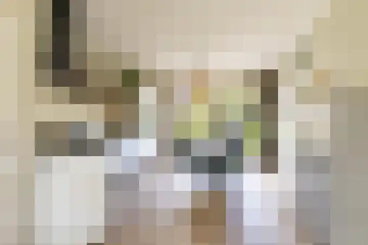 Molepaed 4 Scharnegoutum thumbnail 12
