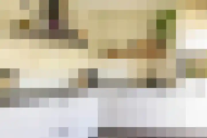 Molepaed 4 Scharnegoutum thumbnail 14
