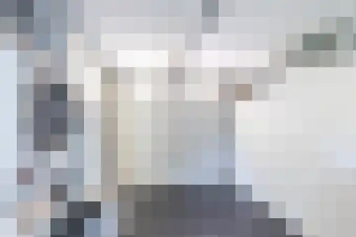Molepaed 4 Scharnegoutum thumbnail 18
