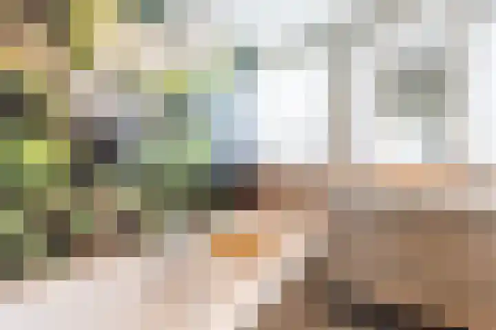 Molepaed 4 Scharnegoutum thumbnail 35