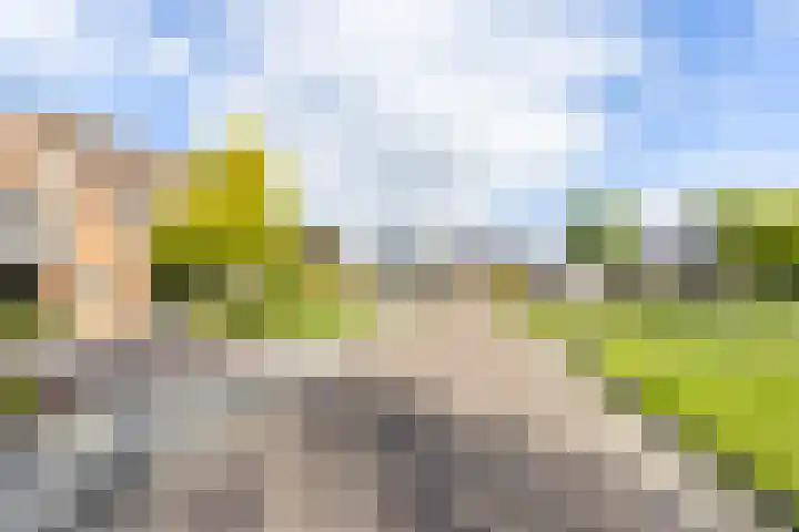 Molepaed 4 Scharnegoutum thumbnail 41