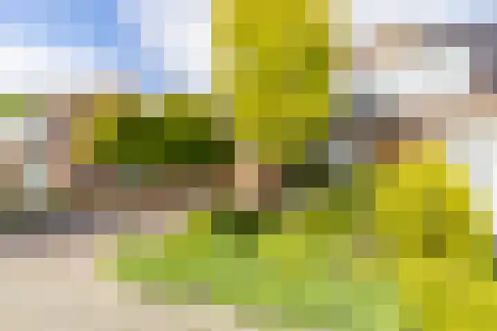 Molepaed 4 Scharnegoutum thumbnail 42