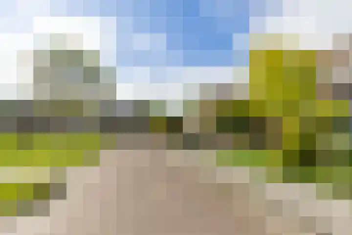 Molepaed 4 Scharnegoutum thumbnail 43