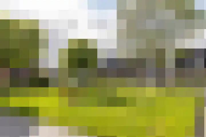 Molepaed 4 Scharnegoutum thumbnail 44