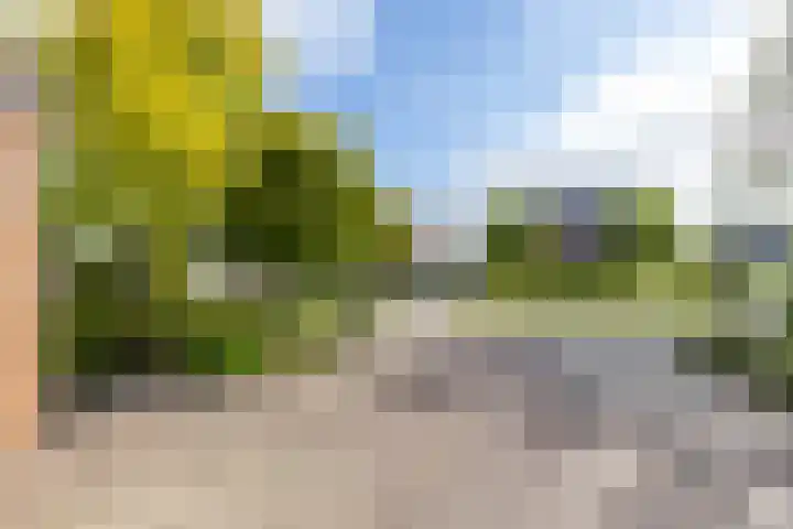 Molepaed 4 Scharnegoutum thumbnail 45